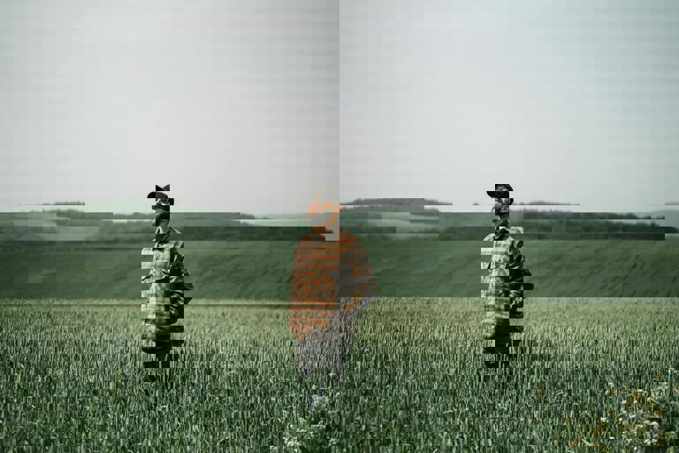 Drought Drives Surge in Wheat Prices as Export Markets React