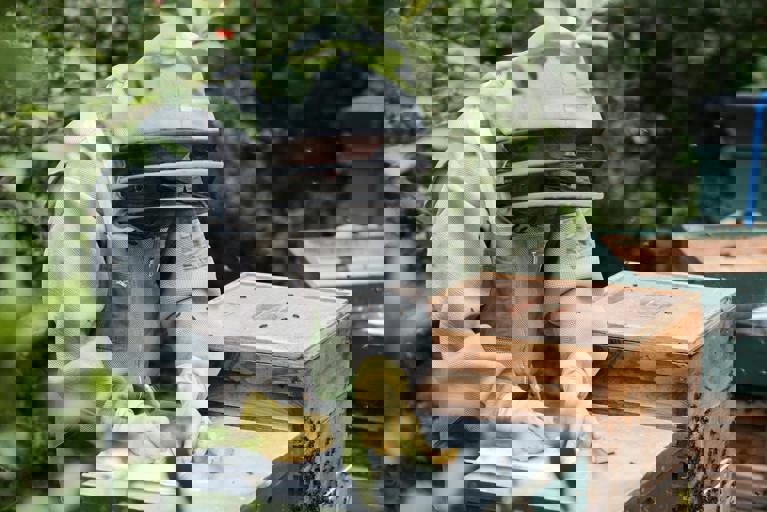 Urban Beekeeping Expo Unveils Buzzing Innovations in City Honey Production